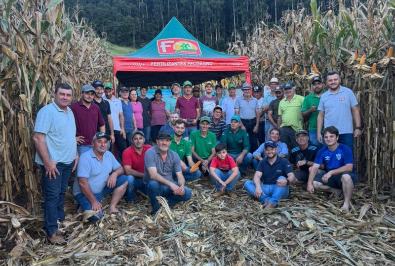 Dia de Campo na Propriedade do Produtor Evandro Caregnato. 