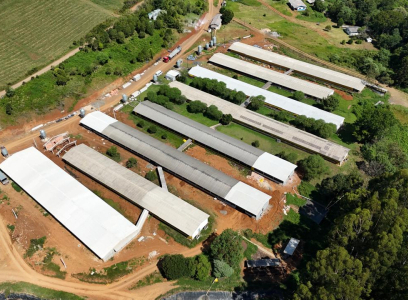 Unidade Suinocultura - São Roque