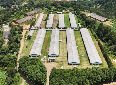 Unidade Suinocultura - Gramados